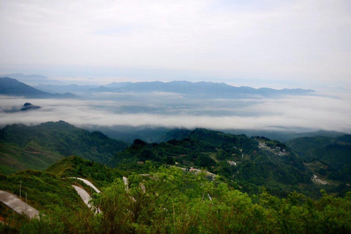千城百县看中国·传承丨皮雕画：追寻时光里的痕迹