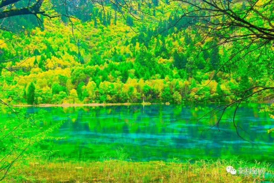 植物神经紊乱？吃葡萄就对了