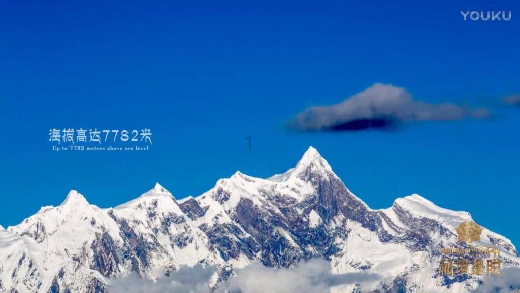 罗马诺:皇马青训已经敲定19岁波多黎各小将的交易