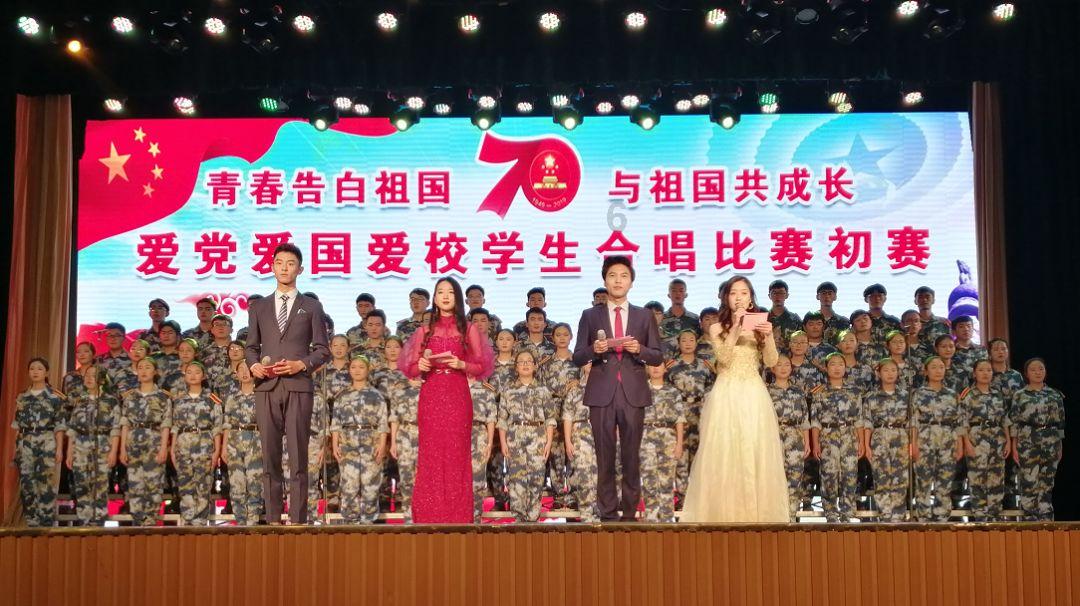 奔跑的兔子